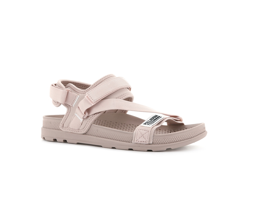 Palladium Solea Rose | CEV8346WI